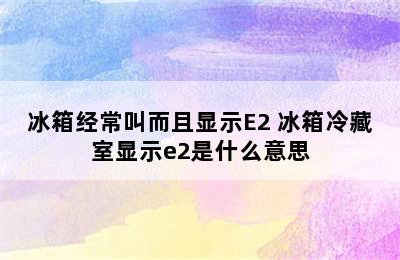 冰箱经常叫而且显示E2 冰箱冷藏室显示e2是什么意思